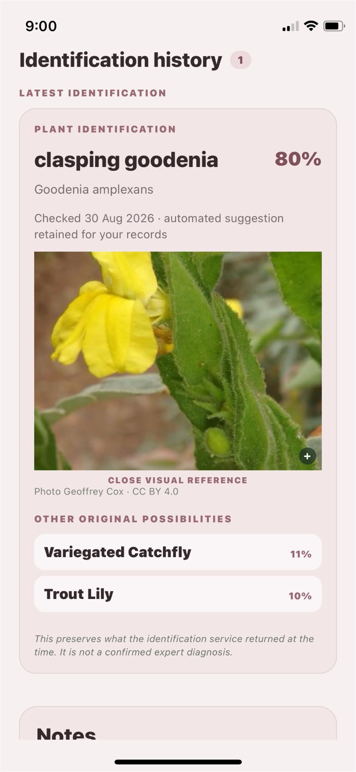 GardenYeah plant identification result with ranked possible matches